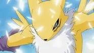 03 Guilmon contra Renamon - Los Digimon viven para luchar
